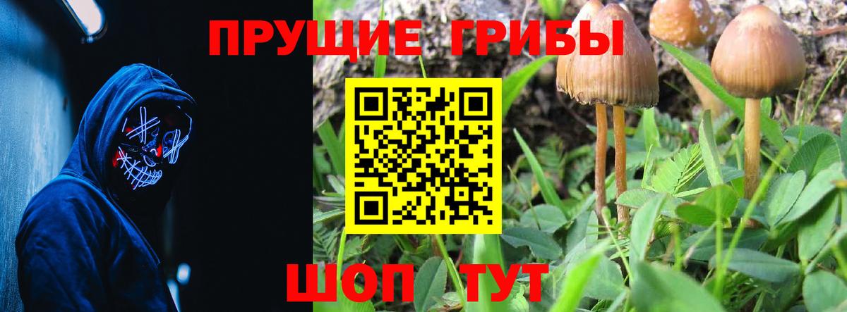 Галлюциногенные грибы MAGIC MUSHROOMS Малгобек